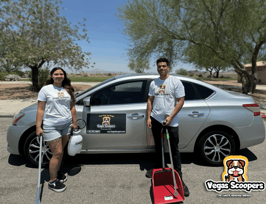 Dog Poop Removal Service in Las Vegas and Henderson NV - Vegas Scoopers, Pet Waste Removal Service for Clark County.