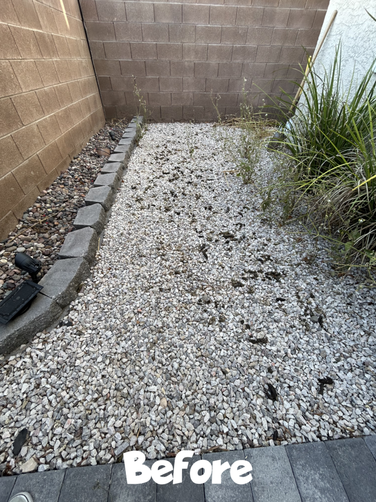 Vegas Scoopers Dog Waste Removal Before and After Services