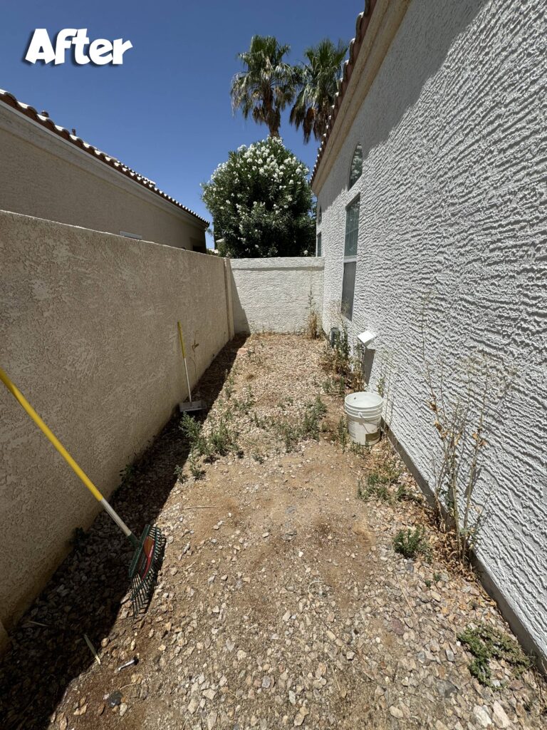 Vegas Scoopers Dog Waste Removal Before and After Services