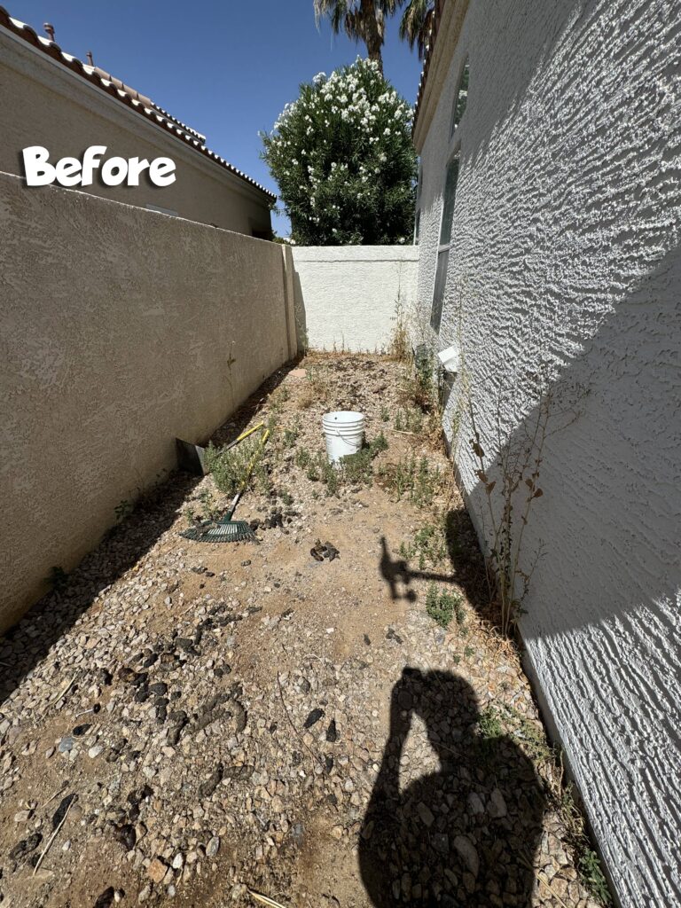 Vegas Scoopers Dog Waste Removal Before and After Services