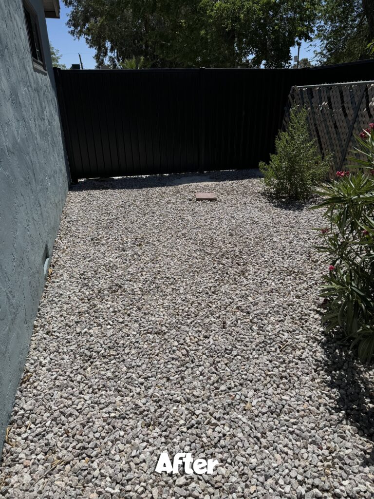 Vegas Scoopers Dog Waste Removal Before and After Services