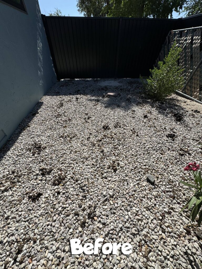 Vegas Scoopers Dog Waste Removal Before and After Services