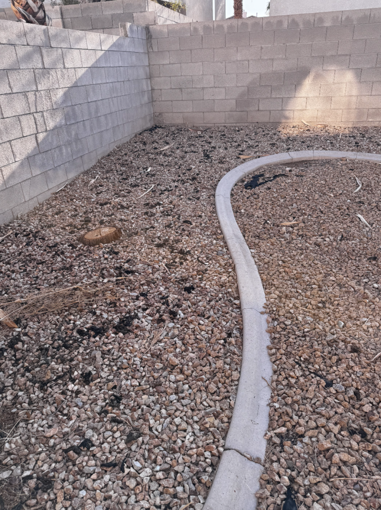 Before Vegas Scoopers Services