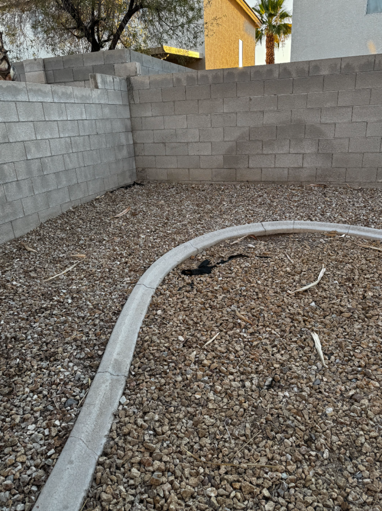 Before Vegas Scoopers Services