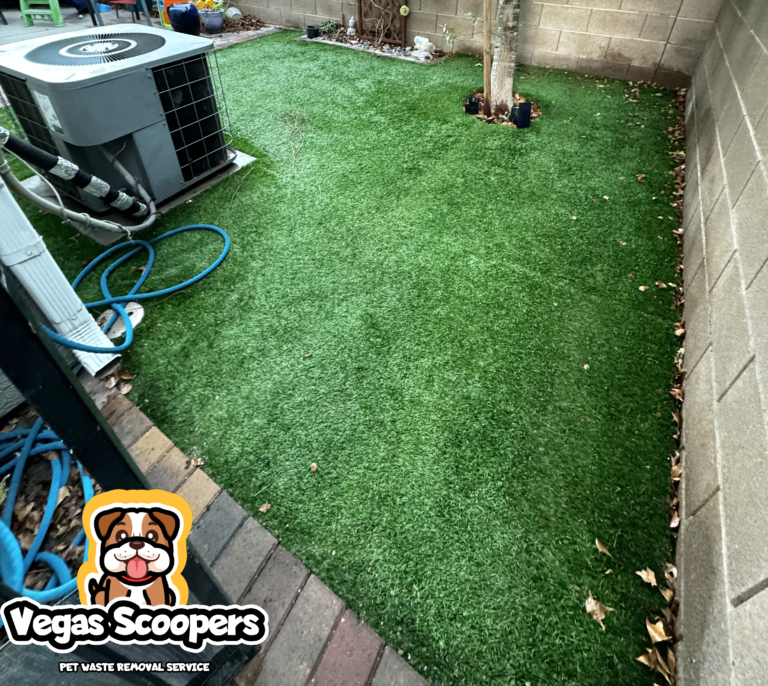 After Vegas Scoopers Services